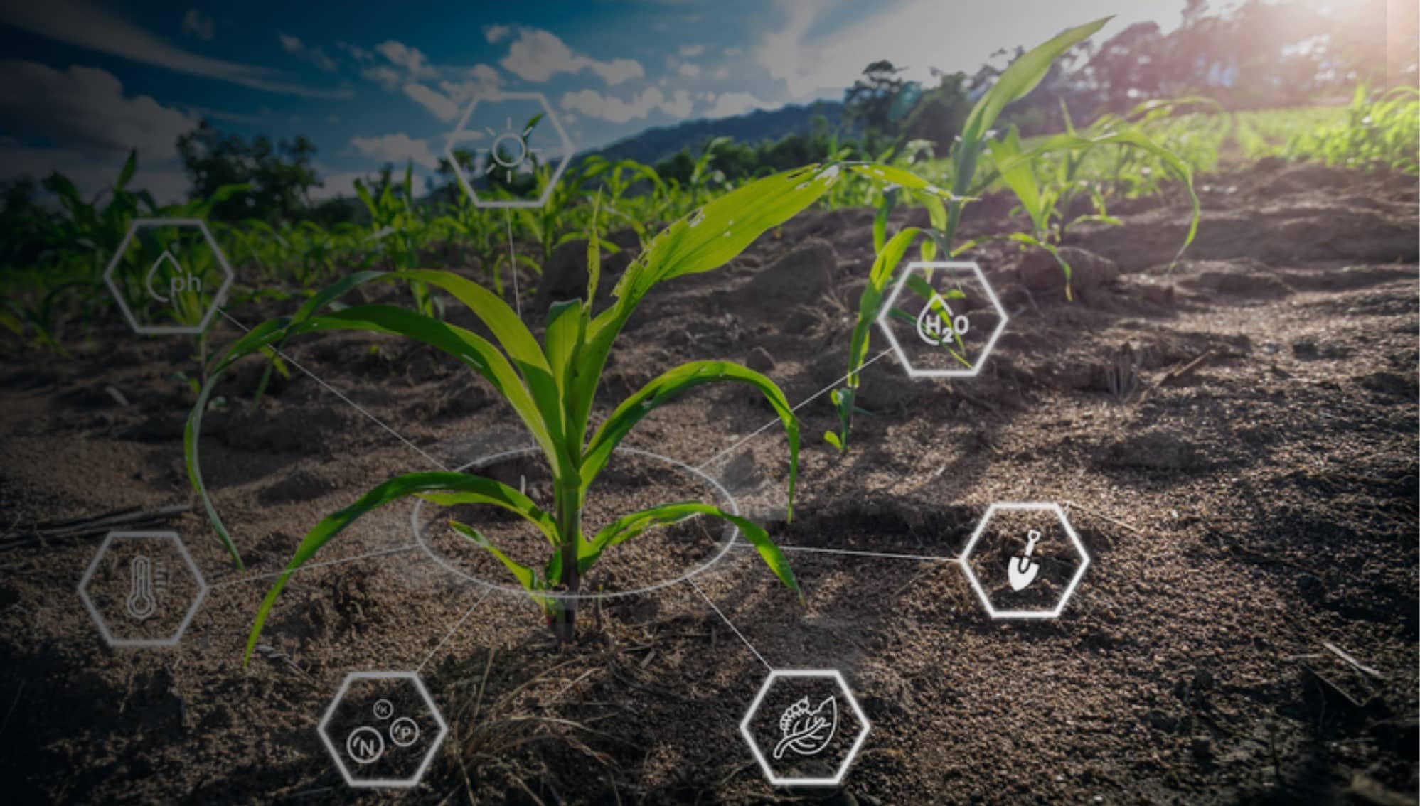 Sustainable Agriculture with Space Technology