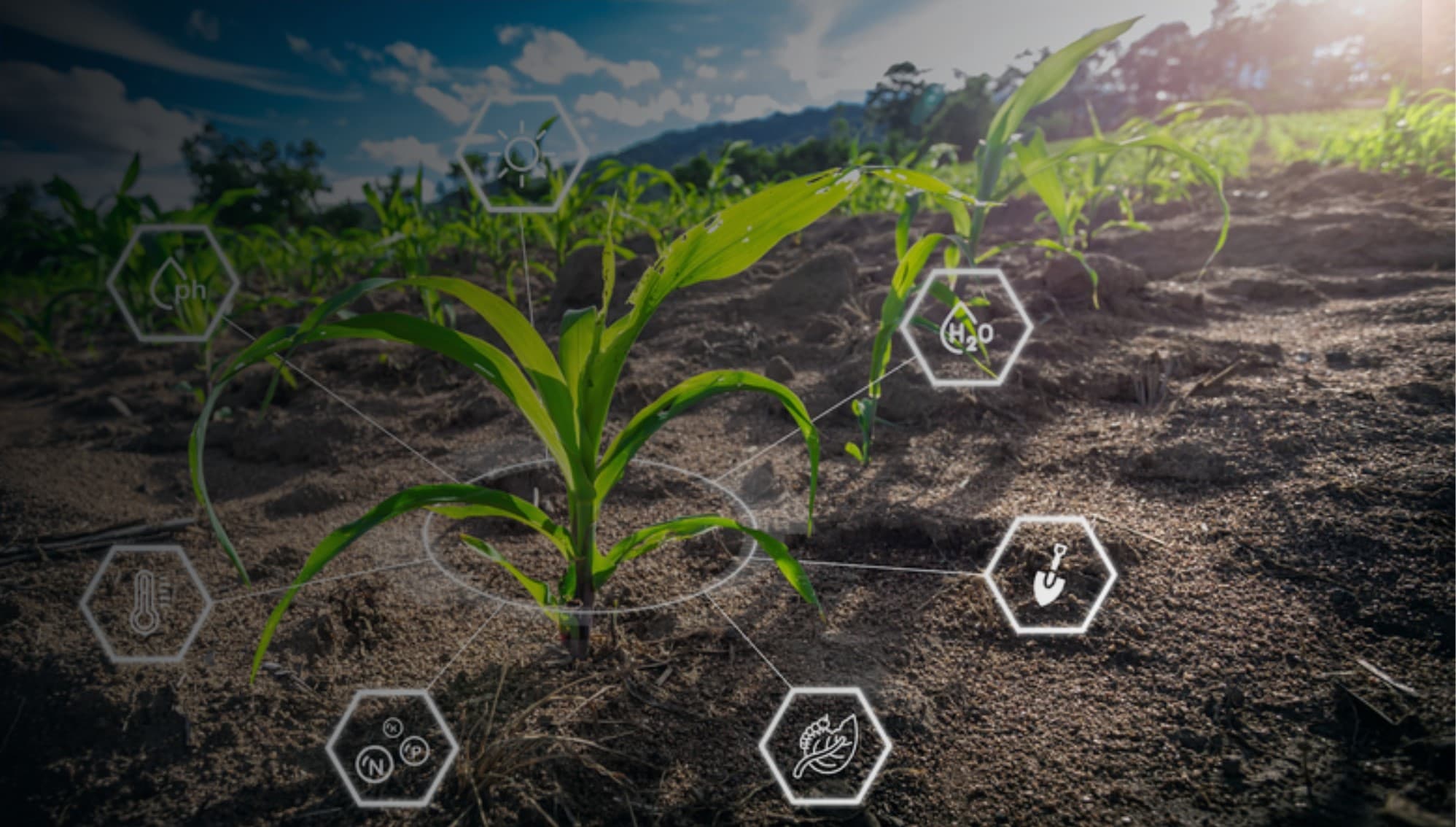 Sustainable Agriculture with Space Technology